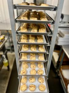 Freeze Dried Peanut Butter Chip Cookie Dough