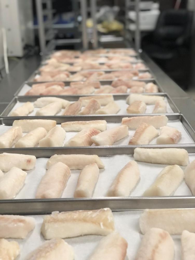 Freeze Dried Pollock Loins