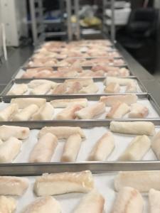 Freeze Dried Pollock Loins