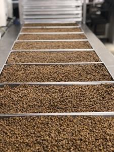 Freeze Dried Fully Cooked Green Lentils