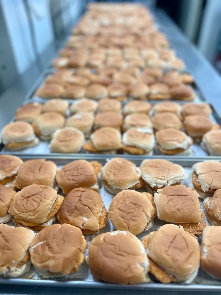 Pre-Sale Freeze Dried Chicken Breast Slider