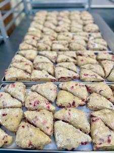Freeze Dried Ready To Bake Cranberry Orange Scones