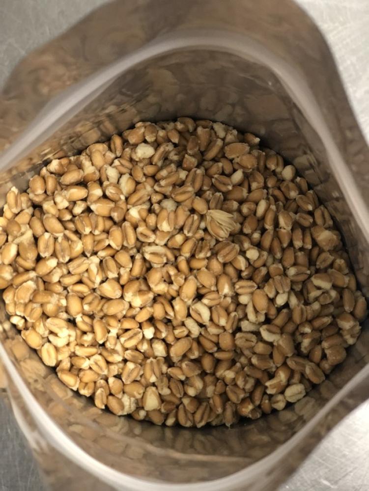 Freeze Dried Fully Cooked Spelt
