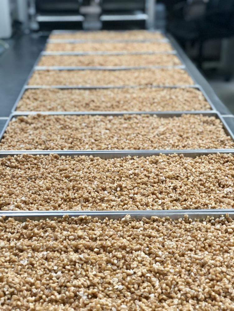 Freeze Dried Fully Cooked Spelt