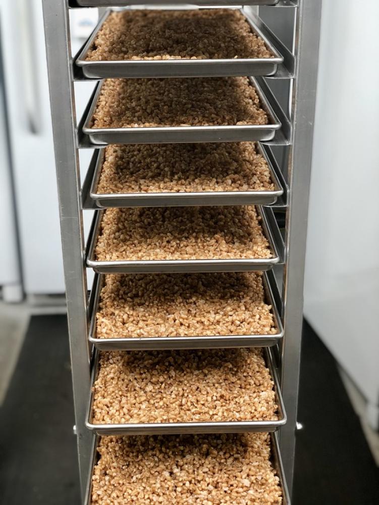 Freeze Dried Fully Cooked Spelt