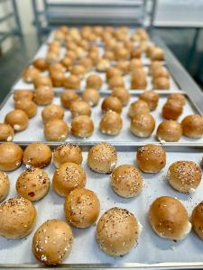 LIMITED PRODUCTION Freeze Dried Fully Cooked Cream Cheese Stuffed Everything Bagel Bites