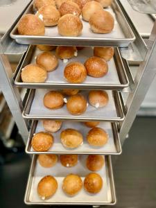 LIMITED PRODUCTION Freeze Dried Fully Cooked Plain Cream Cheese Stuffed Bagel Bites