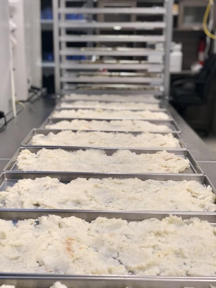 Freeze Dried Fully Cooked White Coarse Polenta