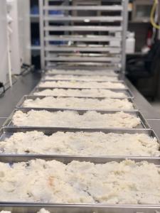 Freeze Dried Fully Cooked White Coarse Polenta