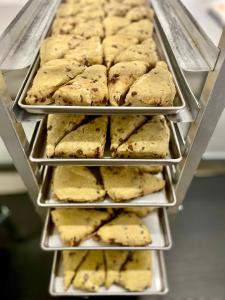 Freeze Dried Ready To Bake Chocolate Chip Scones