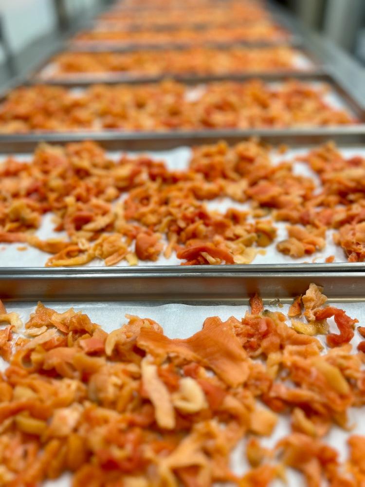 Freeze Dried Chopped Sea Clams