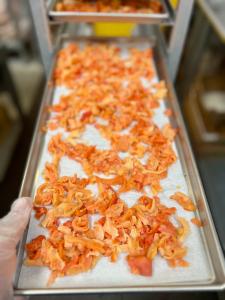 Freeze Dried Chopped Sea Clams
