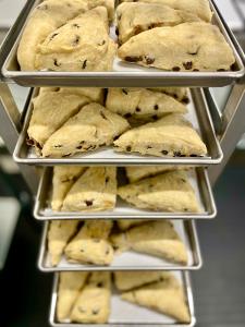 Freeze Dried Ready To Bake Raisin Scones