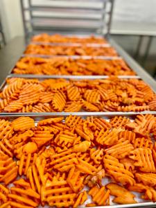 Freeze Dried Cheeseburger Meal Deal Bundle/Combo - Four Packs Total; Freeze Dried Beef patties, Hamburger Buns, Cheddar Cheese and Lattice Cut Sweet Potato Fries!