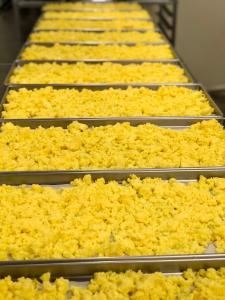 Freeze Dried Fully Cooked Scrambled Egg Breakfast Meal Deal Bundle/Combo - Four Packs Total; Freeze Dried Scrambled Eggs, Hash Brown Potatoes, Turkey Breakfast Sausages and French Toast Sticks!