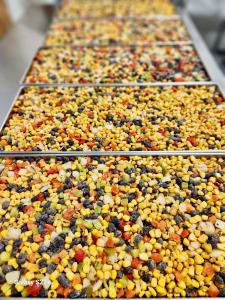 Freeze Dried Fully Cooked Beef Fajita Fiesta Supreme Meal Deal Bundle/Combo - Six Packs Total; Freeze Dried Fully Cooked Beef Fajita Strips, Pepper and Onion Fajita, Black Bean and Roasted Corn, Chili Lime Rice, Salsa and Shredded Cheddar Jack Cheese!