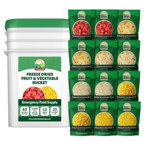 Freeze Dried Fruit & Vegetable Bucket