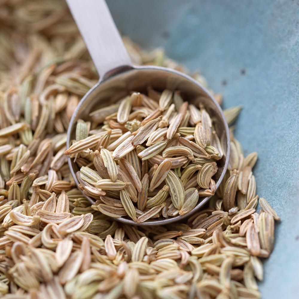 Regal Fennel Seed - 8 oz.