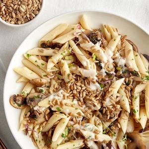 Hickory Harvest Roasted Salted Sunflower Seeds 5 lb.