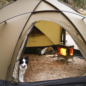 Dweller Max 3 | Camping Wood Stove | POMOLY New Arrival 2025