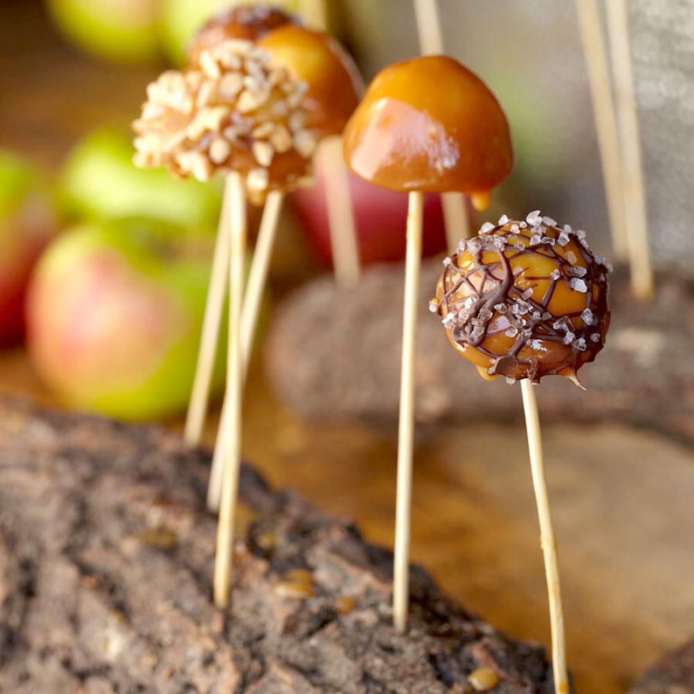 Royal Paper R806 6" Eco-Friendly Round Bamboo Skewer - 100/Pack