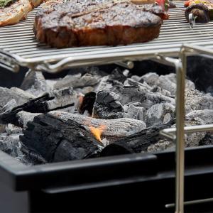 Backyard Pro 100% Natural Hardwood Lump Charcoal - 20 lb.