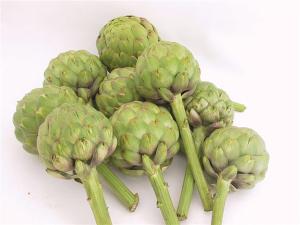 Artichoke, Imperial Star(Tavor) Hybrid Organic.