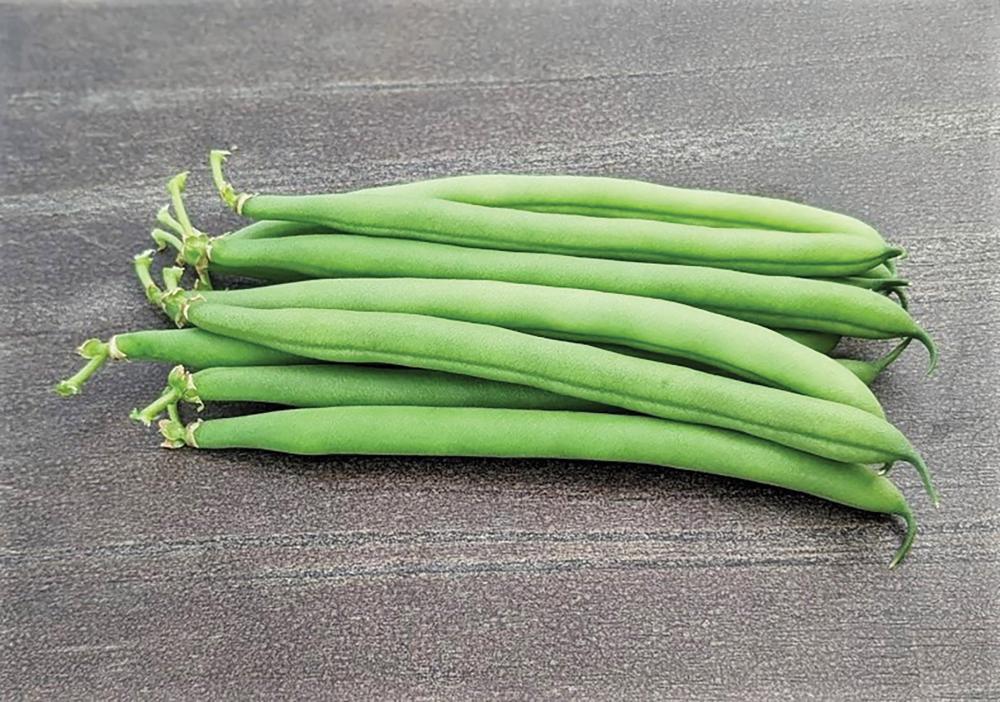 String Beans, Antigua Organic