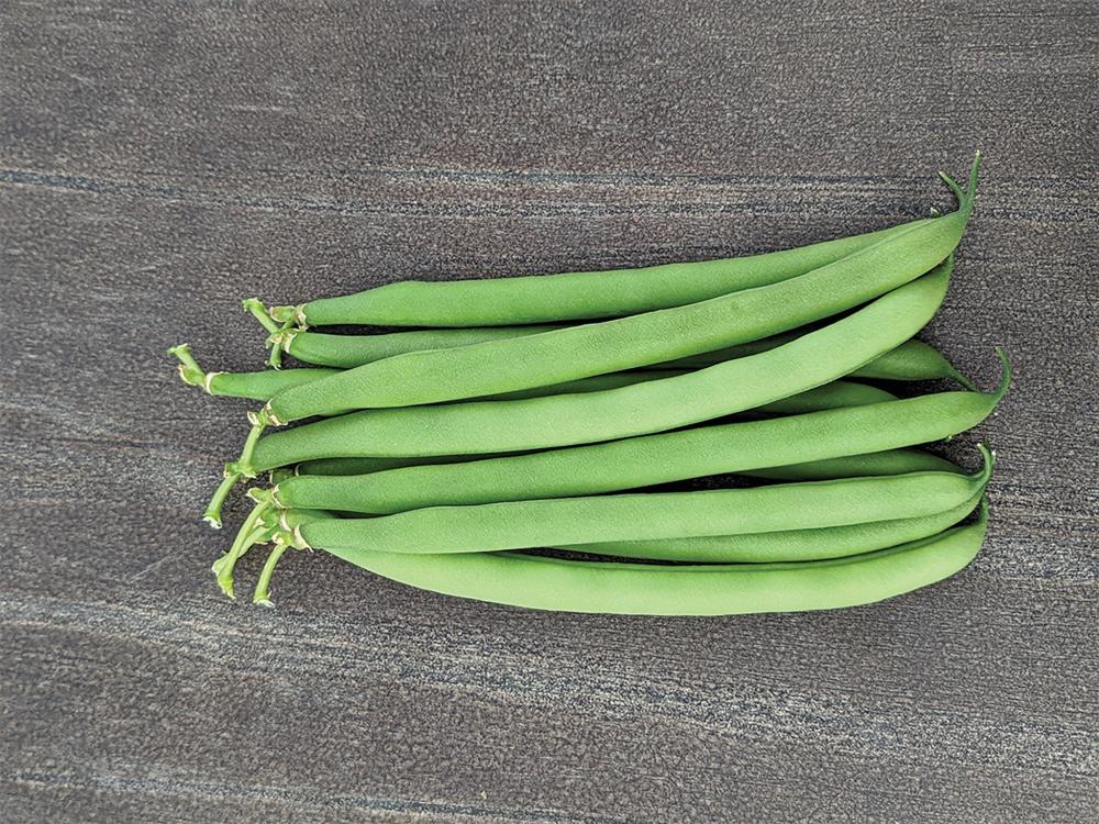 String Beans, Antigua Organic