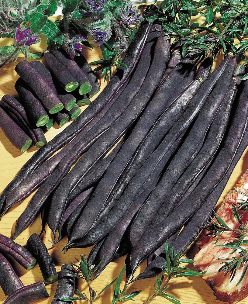String Beans, Blauhilde