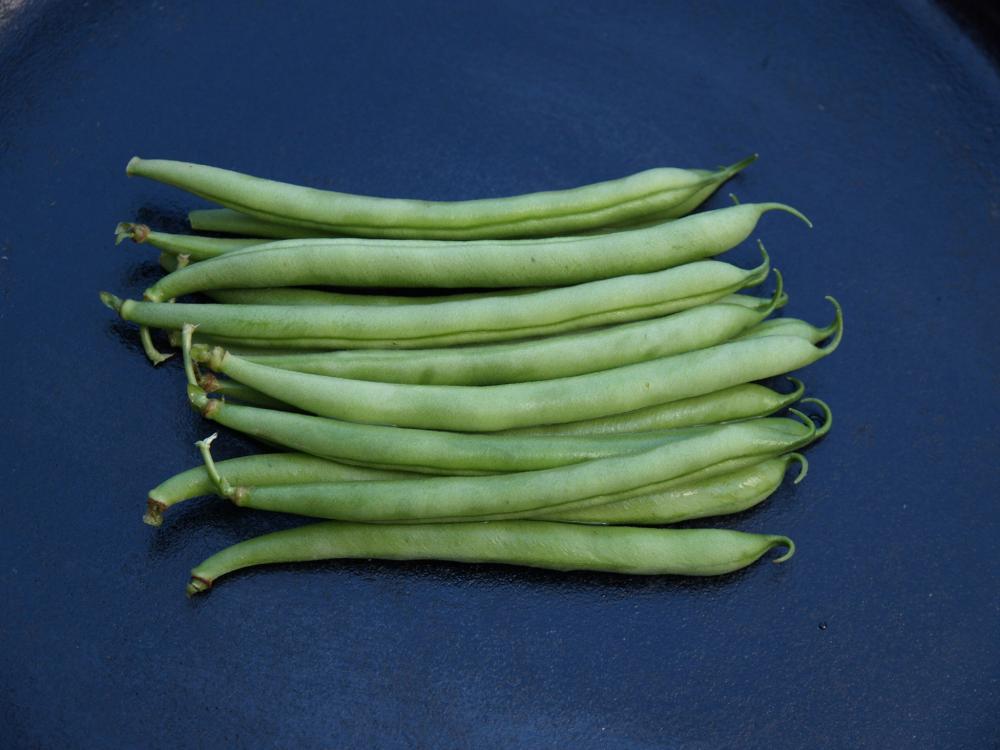 String Beans, Martini