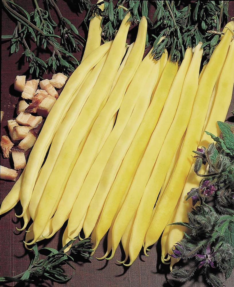 String Beans, Neckargold