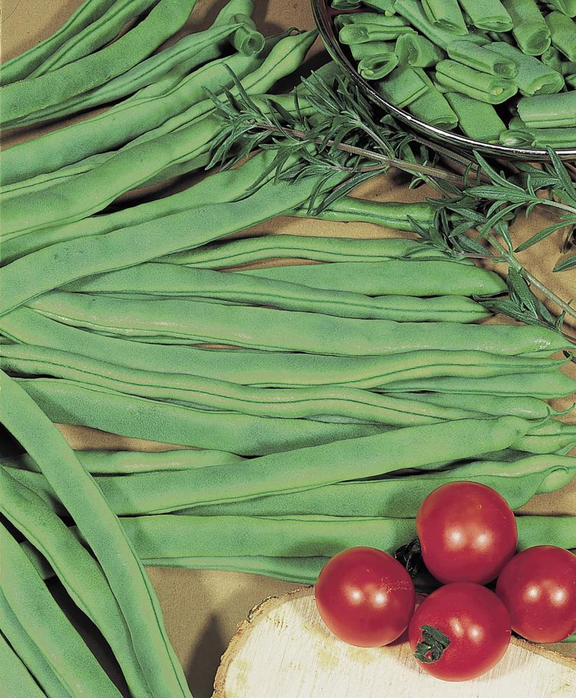 String Beans, Neckarkonigin