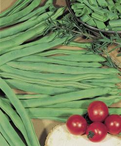 String Beans, Neckarkonigin