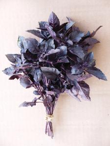 Basil, Red Rubin Improved
