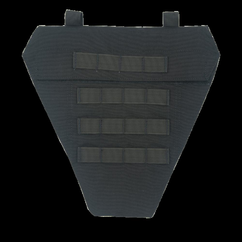 LAP Panel