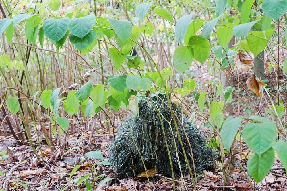 Complete Woodland Ghillie Suit 5 Piece Camo with Bag, real nice set.