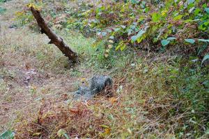 Complete Woodland Ghillie Suit 5 Piece Camo with Bag, real nice set.