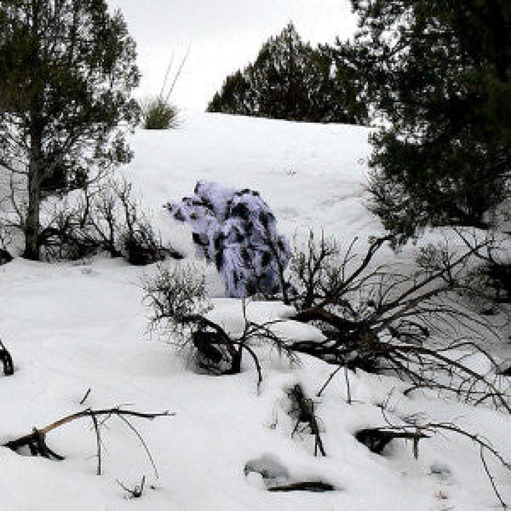 Snow 5 Piece Ghillie Suit - GhillieSuitShop Outdoor Gear