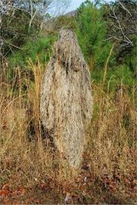 Dessert Ghillie Suit Poncho Jute Thread