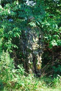 Mossy Oak Leafy Camouflage Suit in 3D
