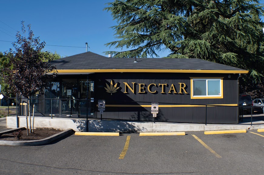 Nectar SE 13th