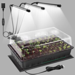 cannabis growing lights