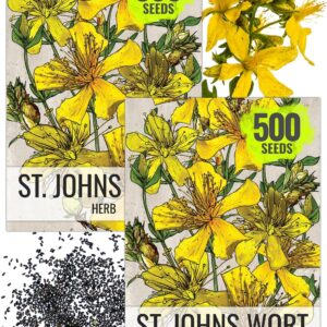cannabis seeds