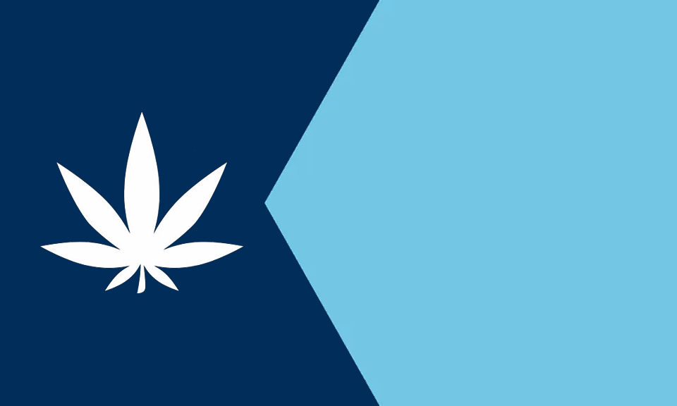 Minnesota’s adult-use cannabis rules officially in effect, but launch delays expected