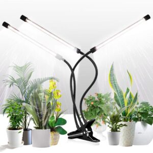 cannabis growing lights