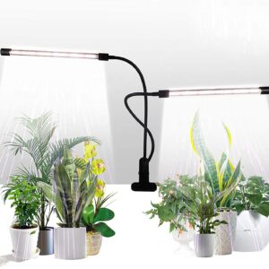 cannabis growing lights