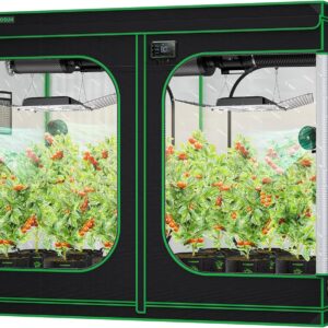 cannabis accessories growing