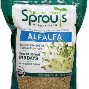cannabis seeds