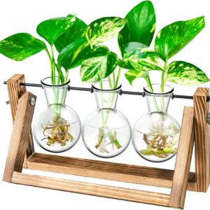 cannabis accessories growing